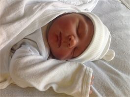 A sweet new baby joins our family A sweet new baby joins our family