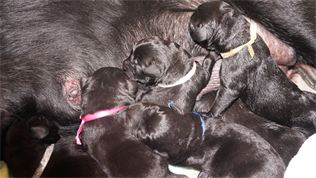 Brand new and nursing already Brand new and nursing already